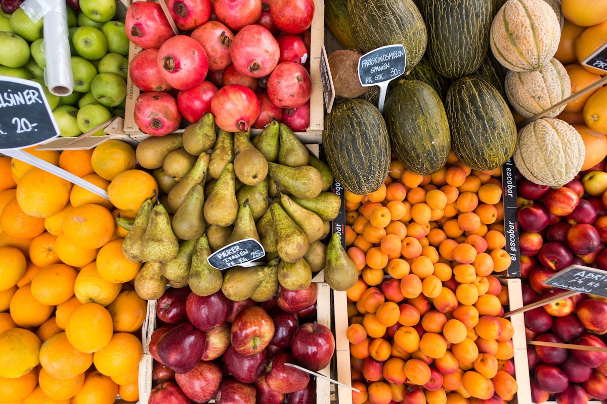Antioxidants and Cellular Energy Protection